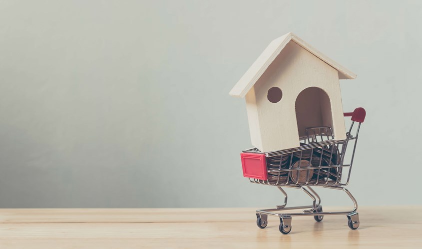 Model wooden house in a shopping trolley
